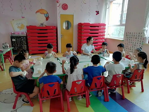 幼儿园日常精彩瞬间