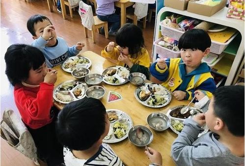 幼儿园出现 调整 ,私立幼儿园要全部关停 教育部门作出回应
